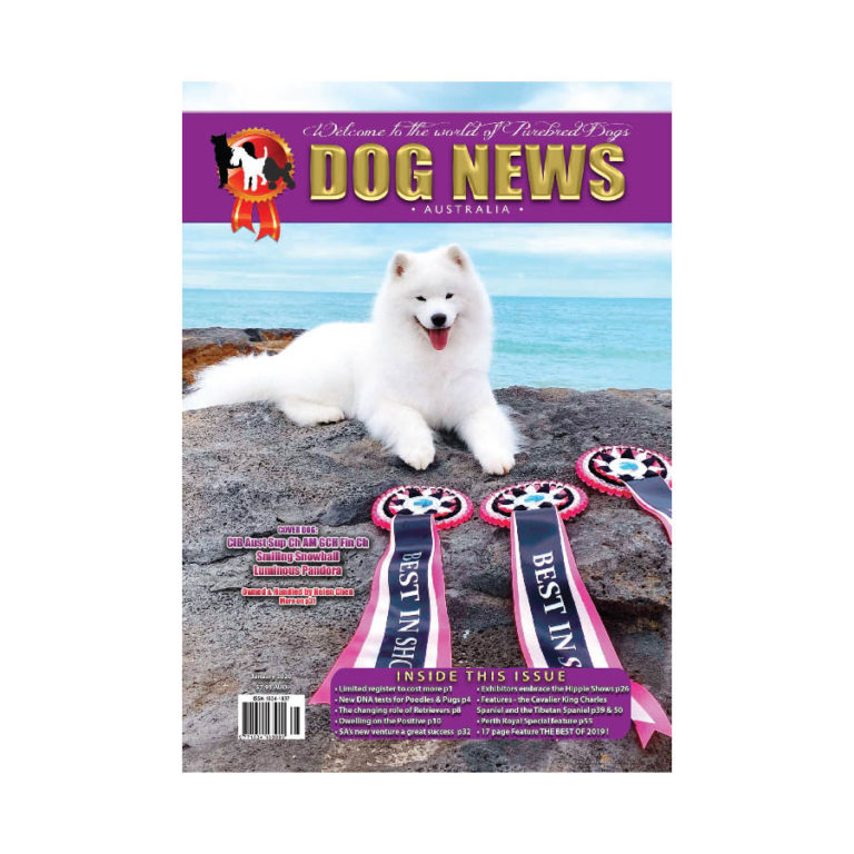 Home Dog News Australia