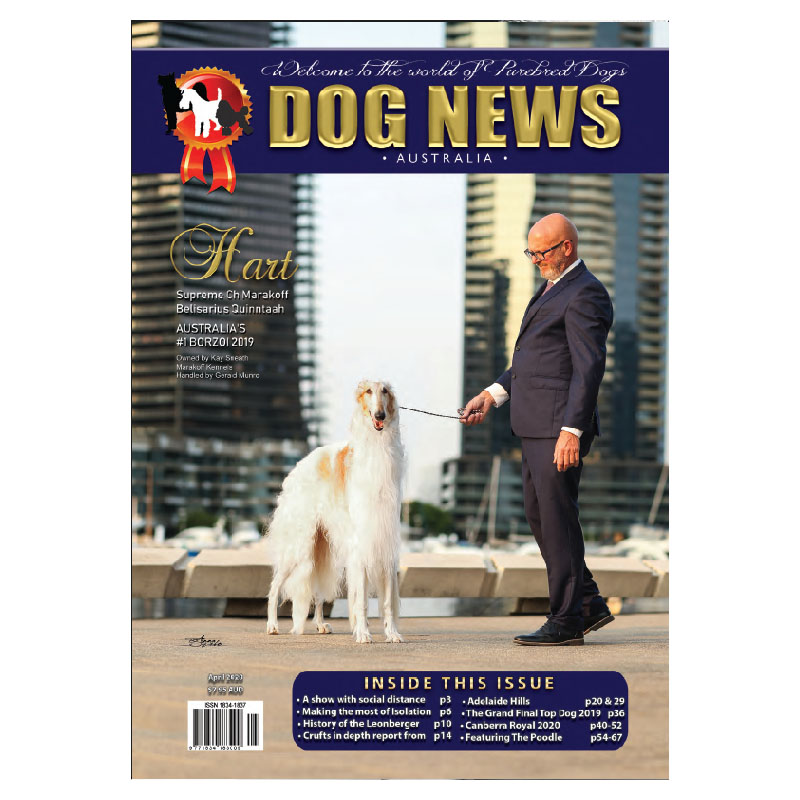 Home Dog News Australia