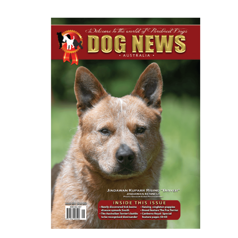 Home Dog News Australia