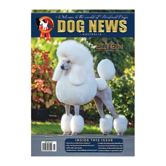Home Dog News Australia