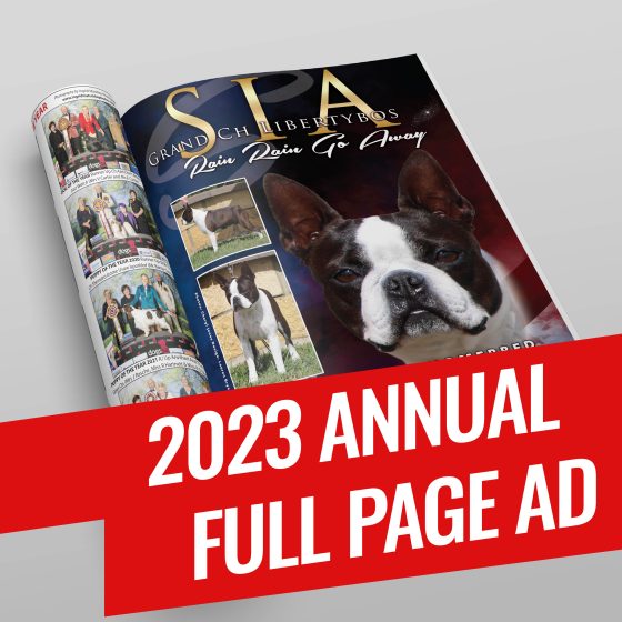 Home Dog News Australia