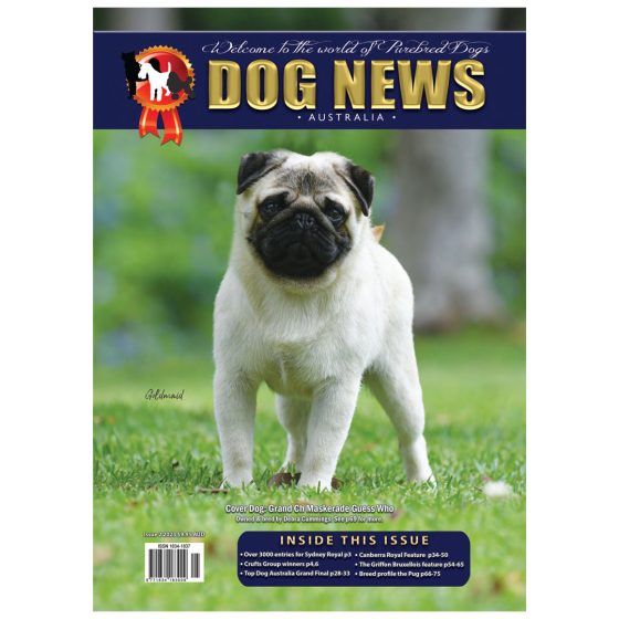 Home Dog News Australia