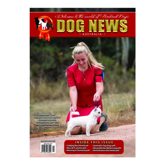 Home Dog News Australia