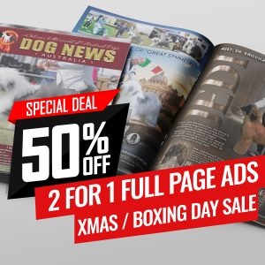 2 For 1 Xmax / Boxing Day Sale